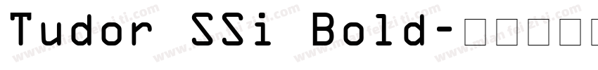 Tudor SSi Bold字体转换